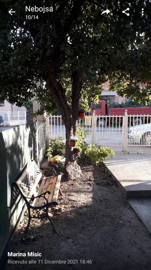 Apartman Milica Pozarevac Ngoại thất bức ảnh