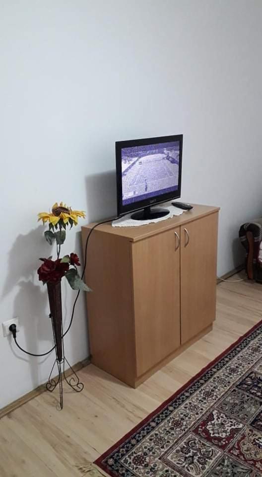 Apartman Milica Pozarevac Ngoại thất bức ảnh