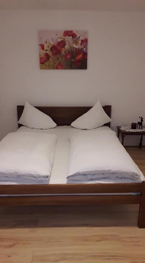 Apartman Milica Pozarevac Ngoại thất bức ảnh
